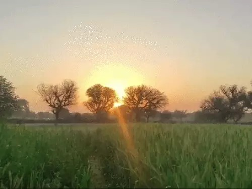मध्य-उत्तरी हिस्से में ठंड से राहत…3° तक बढ़ेगा तापमान:स्किन रिलेटेड समस्याएं बढ़ीं, 300-350 मरीज रोज मेकाहारा पहुंच रहे, आज 19 जिलों में अलर्ट मध्य-उत्तरी हिस्से में ठंड से राहत…3° तक बढ़ेगा तापमान:स्किन रिलेटेड समस्याएं बढ़ीं, 300-350 मरीज रोज मेकाहारा पहुंच रहे, आज 19 जिलों में अलर्ट