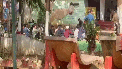 नए साल से पहले रायपुर पुलिस की बड़ी कार्रवाई, बैजनाथपारा, मौदहापारा, संजय नगर, शंकर नगर, मोवा समेत कई इलाकों में छापा