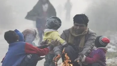 छत्तीसगढ़ में अभी और बढ़ेगी ठिठुरन,मैनपाट में तापमान पहुंचा 2 डिग्री तक, शीतलहर की चेतावनी