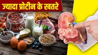 ज्यादा प्रोटीन डाइट कहीं किडनी को तो नहीं कर रही नुकसान? एक्सपर्ट की चेतावनी