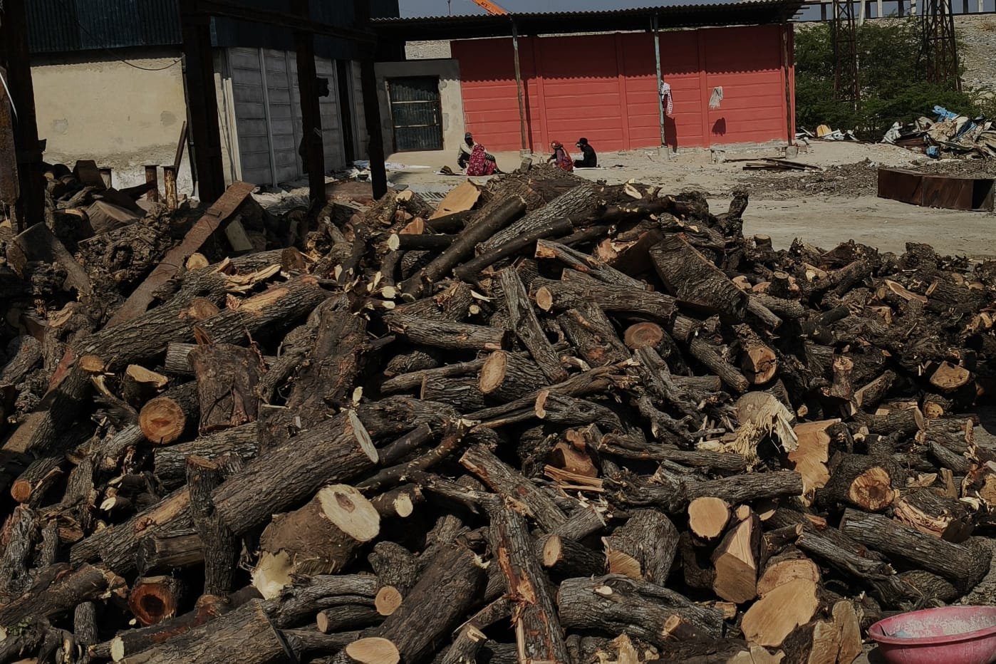 राजस्थान : सांभर साल्ट रिफायनरी में तहसीलदार का ओचक निरीक्षण: 160 क्विंटल अवैध गीली लकड़ी जब्त