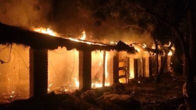 जयसिंहपुर में भीषण आग का तांडव: पोल्ट्री फार्म जलकर खाक, 2800 चूजों की दर्दनाक मौत