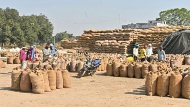 धान खरीदी में धमतरी की ऐतिहासिक छलांग, खरीफ विपणन वर्ष 2025-26 में प्रदेश में प्रथम स्थान