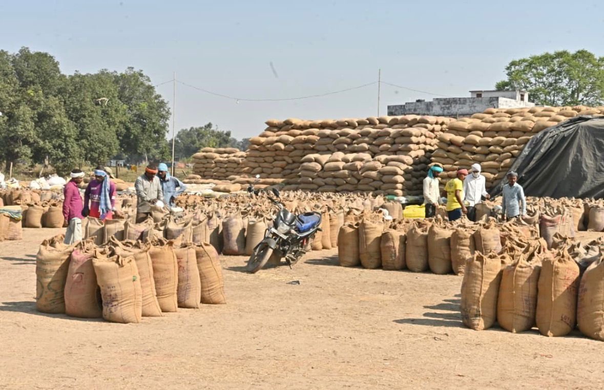 धान खरीदी में धमतरी की ऐतिहासिक छलांग, खरीफ विपणन वर्ष 2025-26 में प्रदेश में प्रथम स्थान