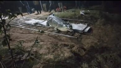 सीधी: चंबल के ‘जांबाज’ ने सोन में रचा इतिहास, 9 साल बाद घड़ियालों की गूंज से आबाद हुआ अभ्यारण्य