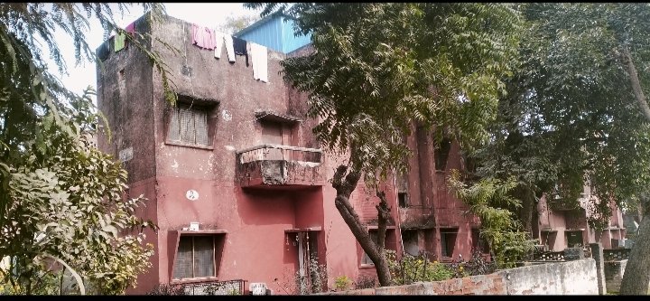 रायबरेली में सरकारी लापरवाही की इमारत! 51 साल पुरानी कॉलोनी मौत का इंतज़ार कर रही