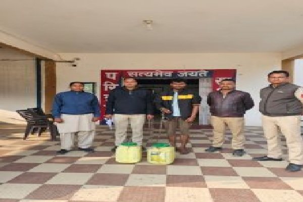 कोरबा पुलिस का अवैध शराब पर बड़ा प्रहार, एक दिन में 44 मामले दर्ज; 653 लीटर शराब जब्त