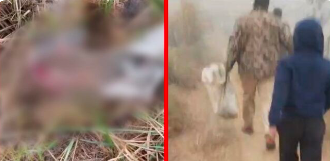 बहराइच में बोरी में गोवंश का अवशेष मिलने से हलचल, पुलिस ने अज्ञात के विरुद्ध दर्ज किया मुकदमा