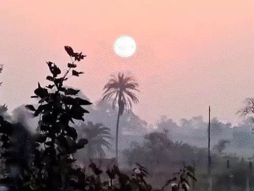 वेस्टर्न डिस्टर्बेंस से छत्तीसगढ़ में बारिश की चेतावनी:दो दिनों तक हो सकती है बूंदाबांदी, कोहरा छाएगा, 48 घंटे बाद फिर बढ़ेगी ठंड