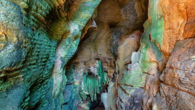 कांगेर घाटी में मिली अनोखी ‘ग्रीन गुफा’,जल्द खुलेंगे पर्यटन के नए द्वार