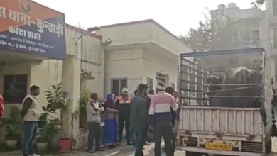 एक भैंस, दो दावेदार! कोटा थाने में 4 घंटे चला हाई-वोल्टेज ड्रामा