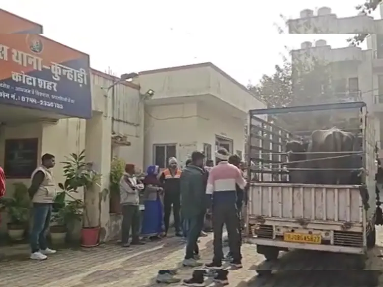 एक भैंस, दो दावेदार! कोटा थाने में 4 घंटे चला हाई-वोल्टेज ड्रामा