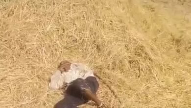 छत्तीसगढ़ में जानलेवा हुई ठंड, अंबिकापुर में बुजुर्ग की ठंड से हुई मौत