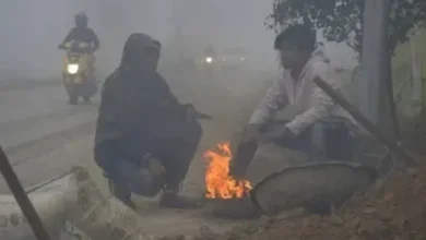 छत्तीसगढ़ में सर्द हवाओं ने फिर बढ़ाई ठिठुरन, इन जिलों में शीतलहर की संभावना