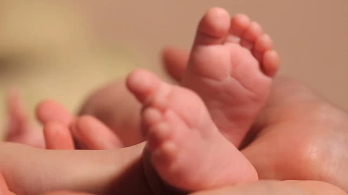 बोरे में मिला नवजात, बच्चों की सतर्कता से बची मासूम की जान बोरे में मिला नवजात, बच्चों की सतर्कता से बची मासूम की जान