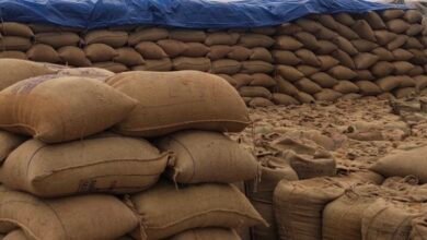 किसानों के हित में मुख्यमंत्री साय ने बढ़ाई दो दिन की अवधि, अब 5-6 फरवरी को भी होगी धान खरीदी