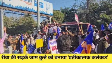 रीवा: कलेक्ट्रेट के सामने हाईवोल्टेज ड्रामा; कुत्ते को पहनाया ज्ञापन, 3 घंटे थमी शहर की रफ्तार