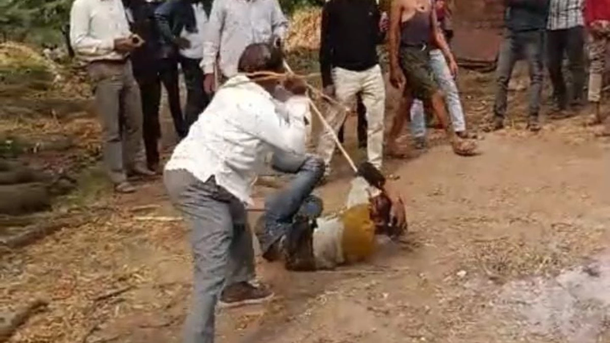 धार में रस्सी से हाथ बांध कर युवक की बेरहमी से पिटाई, वीाडियो वायरल, तमाशबीन बने रहे लोग