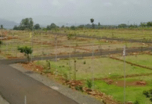 अजब-गजब! पूर्व तहसीलदार ने जिस प्रकरण को खारिज किया, नए तहसीलदार ने उसी जमीन पर चढ़वाया आवेदकों का नाम…