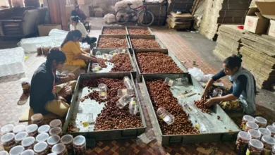 इंदौर में 1600 किलो ‘शाही गुलाब जामुन’ जब्त, गंदगी देखकर फैक्ट्री ही करा दी बंद