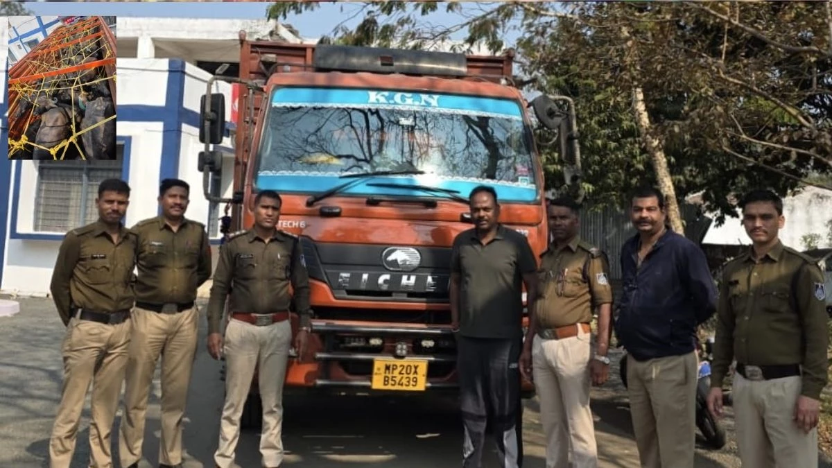 बूचड़खाने ले जाए जा रहे 23 मवेशी मिनी ट्रक सहित जब्त, मौके से चालक, हेल्पर फरार, एक गिरफ्तार बूचड़खाने ले जाए जा रहे 23 मवेशी मिनी ट्रक सहित जब्त, मौके से चालक, हेल्पर फरार, एक गिरफ्तार