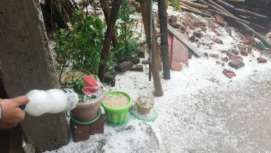 CG Weather: मौसम का कहर… बलरामपुर-सूरजपुर में भारी ओलावृष्टि, ओलों ने बर्बाद की फसलें; खुले में रखा धान भी हुआ खराब