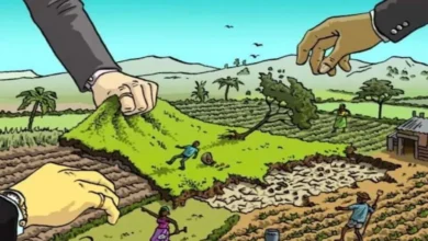 नर्मदा तट पर 300 मीटर दायरे में बिक रहे फार्म हाउस, सरकारी नहर और जमीन पर अवैध निर्माण नर्मदा तट पर 300 मीटर दायरे में बिक रहे फार्म हाउस, सरकारी नहर और जमीन पर अवैध निर्माण