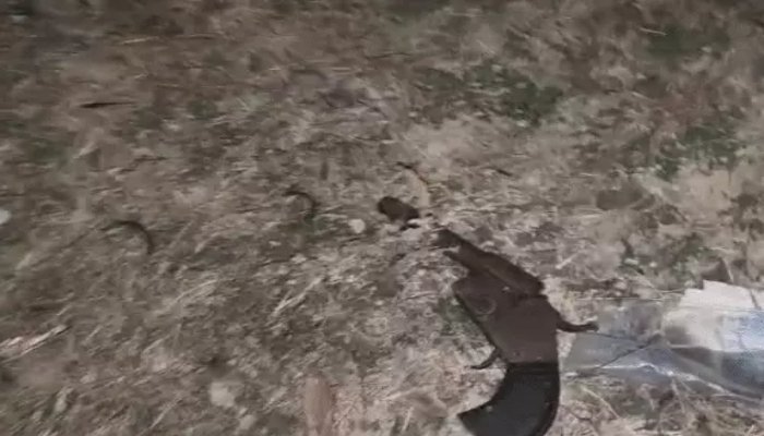 जांजगीर में डकैती गिरोह का सरगना मुठभेड़ में घायल, पुलिस ने किया गिरफ्तार