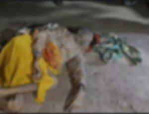 उत्तर प्रदेश: बहराइच में जंगली हाथी ने 100 वर्षीय बाबा को पटक कर मार डाला, मचा हड़कंप