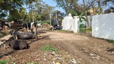 इटावा: प्राथमिक विद्यालय भाऊपुर के गेट पर अवैध कब्जा, एसडीएम के आदेश को लेखपाल ने किया नजरअंदाज