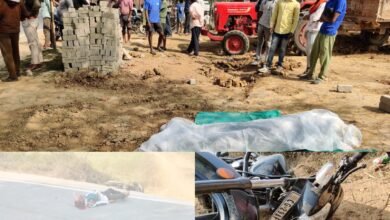 सूरजपुर: अंधरा पुल पर भीषण सड़क हादसा, बाइक और छोटा हाथी की जोरदार भिड़ंत, युवक की मौके पर मौत, चालक फरार