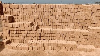 छत्तीसगढ़: प्रशासन की नाक के नीचे फल-फूल रहा अवैध ईंट का कारोबार, शासन को भी राजस्व का लग रहा चूना