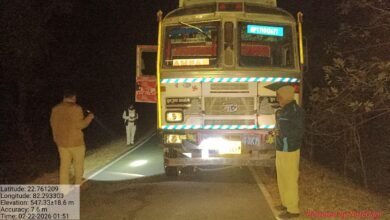 कोरबा में आधी रात वन विभाग की बड़ी रेड, लाखों की साल लकड़ी से भरा ट्रक जब्त