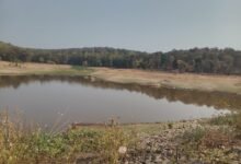 नहरें कटी खेत सूखे और खर्च का पूरा ब्योरा मांगकर मरकाम ने बढ़ाई सरकार की टेंशन