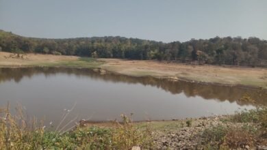 नहरें कटी खेत सूखे और खर्च का पूरा ब्योरा मांगकर मरकाम ने बढ़ाई सरकार की टेंशन