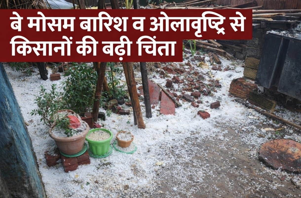 वाड्रफनगर : 20 मिनट की ओलावृष्टि ने मचाई तबाही,किसानों के लिए आफत बनकर आई ओलावृष्टि वाड्रफनगर : 20 मिनट की ओलावृष्टि ने मचाई तबाही,किसानों के लिए आफत बनकर आई ओलावृष्टि