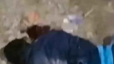 ​सिद्धार्थनगर: तेज रफ्तार वाहन ने युवक को कुचला, मौके पर ही मौत