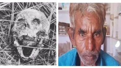 चीताही नहर किनारे मिला नरकंकाल, 15 दिन पुरानी गुमशुदगी का हुआ खुलासा