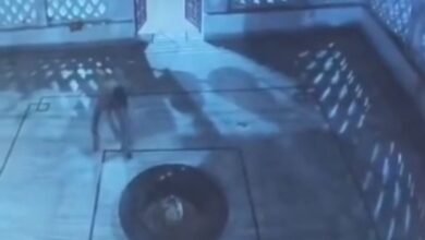 “गौरीशंकर मंदिर में भारी उत्पात! शराबी ने आस्था के साथ किया खिलवाड़, हमीदपुर बड़ागांव में भड़का ग्रामीणों का गुस्सा”