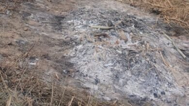 औरंगाबाद में पांच बच्चियों ने एक साथ खाया जहर,चार की तड़प तड़पकर तोड़ा दम