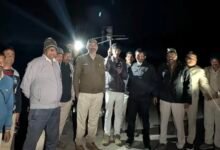 मैहर में हाथियों की दस्तक: शहडोल-सीधी से आए दो गजराज, GPS से लोकेशन ट्रेस; काटी गई बिजली