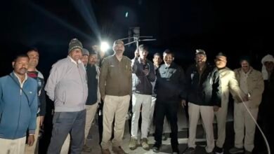 मैहर में हाथियों की दस्तक: शहडोल-सीधी से आए दो गजराज, GPS से लोकेशन ट्रेस; काटी गई बिजली