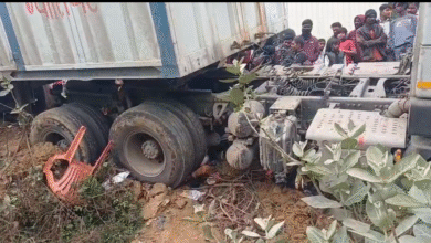 बहराइच में दर्दनाक हादसा: हाईवे किनारे ठेला लगा रही महिला पर चढ़ा ट्रक, मौके पर मौत