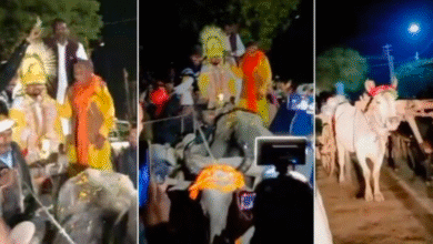 यूपी में अनोखी शादी: लग्जरी कार छोड़ बैलगाड़ी से दुल्हन लेने निकला दूल्हा, बारातियों पर फूलों की बारिश