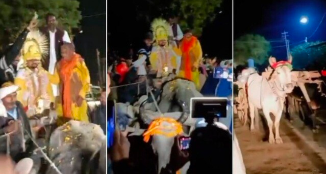 यूपी में अनोखी शादी: लग्जरी कार छोड़ बैलगाड़ी से दुल्हन लेने निकला दूल्हा, बारातियों पर फूलों की बारिश