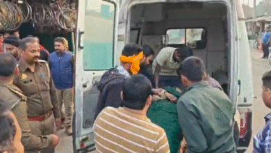 बहराइच में हाथी के हमले में बाइकसवार महिला की मौत, साथ बैठे दो बेटे घायल