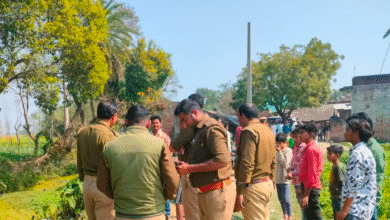 उत्तर प्रदेश: मां मेरा क्या कसूर, बहराइच में सड़क किनारे झाड़ियों में मिला नवजात, हुई मौत