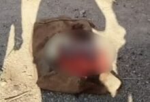 मैहर: जन्म के दो घंटे बाद नवजात को जंगल में बोरी में छोड़ा, ग्रामीणों और पुलिस की तत्परता से बची जान