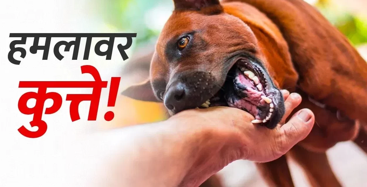 बिहार में कुत्तों के काटने के मामले बढ़कर 2.83 लाख, पटना सबसे अधिक प्रभावित