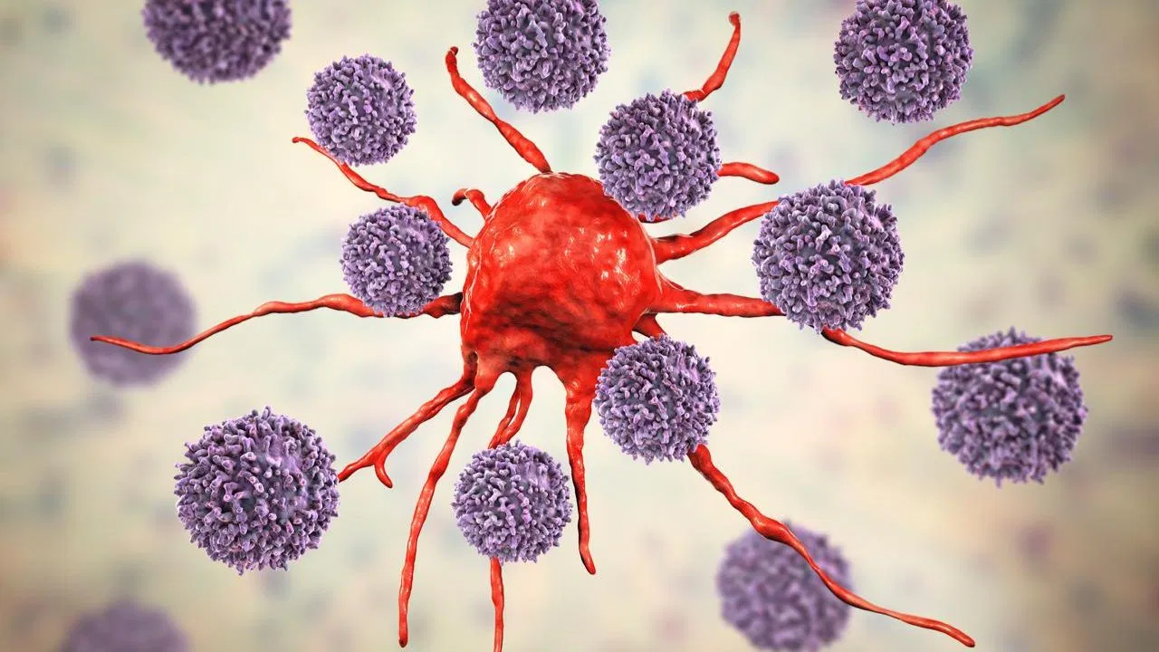 रोज की ये 5 आम आदतें बढ़ा सकती हैं कैंसर का खतरा, एक्सपर्ट ने किया अलर्ट